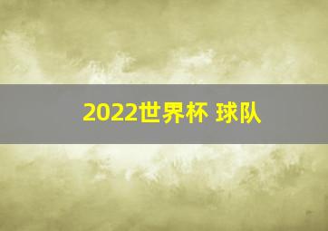 2022世界杯 球队